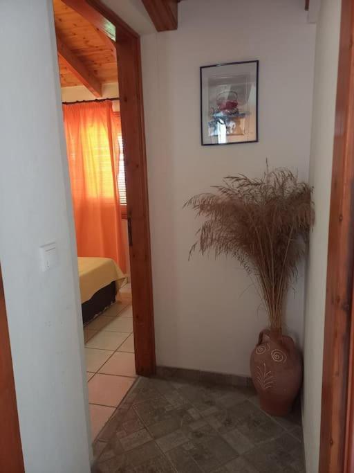 Apartmán Δίχωρο Στούντιο Στον Κέντρο Του Αρμενιστή Armenistis  Exteriér fotografie